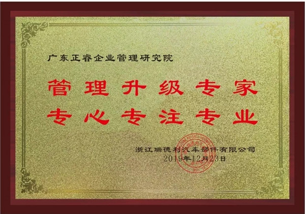 蔡總代表瑞德利公司授予正睿咨詢牌匾