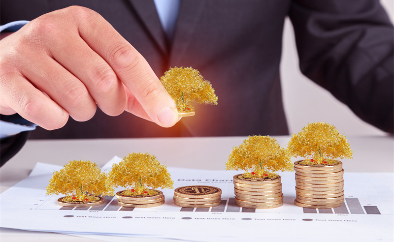 業(yè)績管理與績效評估、薪酬管理和職業(yè)發(fā)展之間的關(guān)系