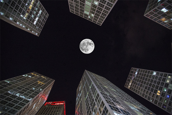 「營(yíng)銷管理咨詢」解鎖社交媒體的力量，讓品牌騰飛！