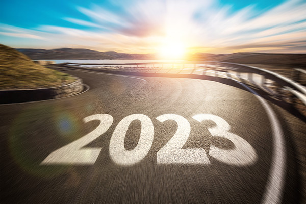 組織文化建設(shè)咨詢：塑造積極企業(yè)文化，提升組織凝聚力