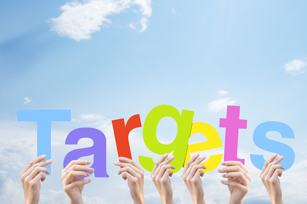 構(gòu)建科學(xué)績效管理體系，提升組織整體績效水平