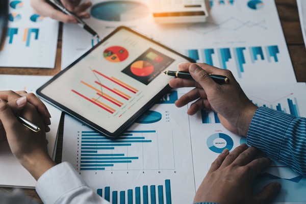 滾動預(yù)算咨詢：協(xié)助企業(yè)實(shí)施滾動預(yù)算，持續(xù)優(yōu)化預(yù)算