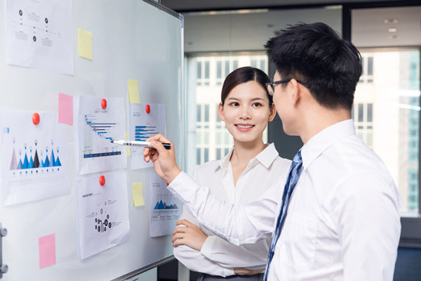 組織咨詢(xún)：協(xié)助企業(yè)制定組織發(fā)展戰(zhàn)略，推動(dòng)組織成長(zhǎng)