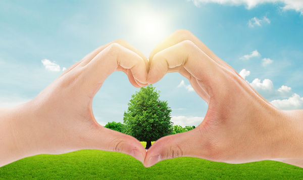 年度可持續(xù)發(fā)展計劃：綠色發(fā)展，共享價值