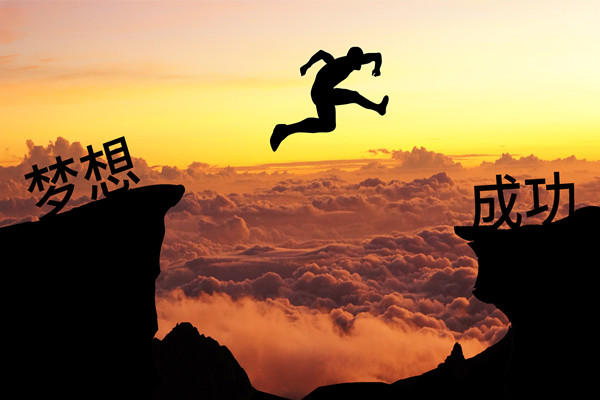 績效管理：應(yīng)對變革挑戰(zhàn)，推動組織變革成功