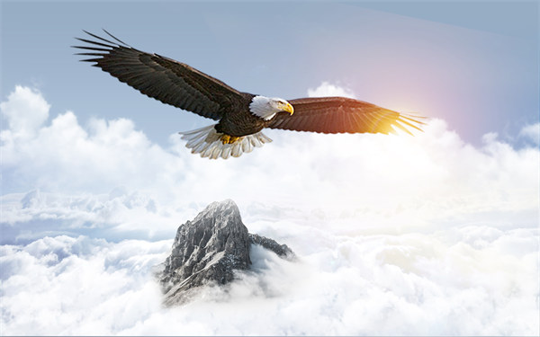 組織規(guī)劃引領(lǐng)企業(yè)變革，塑造全新管理模式與未來