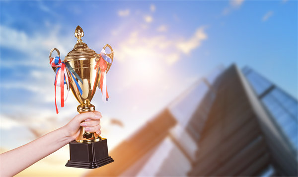 優(yōu)化人力資源配置，推動企業(yè)持續(xù)發(fā)展與變革