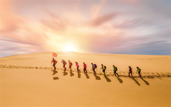 風(fēng)險防范：構(gòu)建全面風(fēng)險管理體系，保障企業(yè)穩(wěn)健發(fā)展