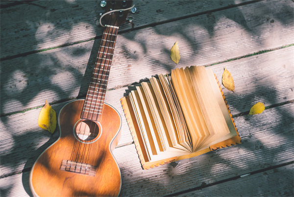 促銷策略：激發(fā)消費者購買欲望，促進(jìn)銷售增長