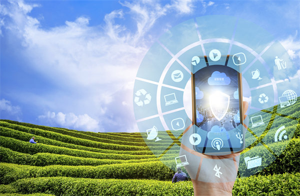 在精益轉(zhuǎn)型中，如何平衡標(biāo)準(zhǔn)化作業(yè)與靈活性需求？