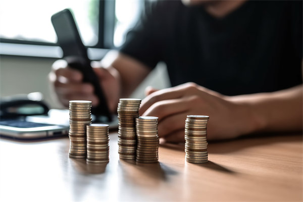 環(huán)境快速變化，如何確保預算執(zhí)行的靈活性和適應性？