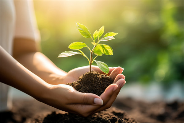 可持續(xù)發(fā)展成為趨勢(shì)，企業(yè)如何融入綠色戰(zhàn)略以促增長(zhǎng)？