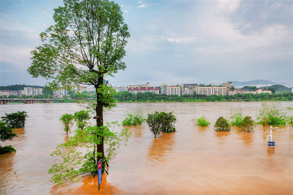 供應(yīng)鏈韌性建設(shè)：面對自然災(zāi)害的應(yīng)急計劃與恢復(fù)力？