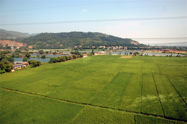 清遠績效咨詢公司如何定制高效績效管理體系？