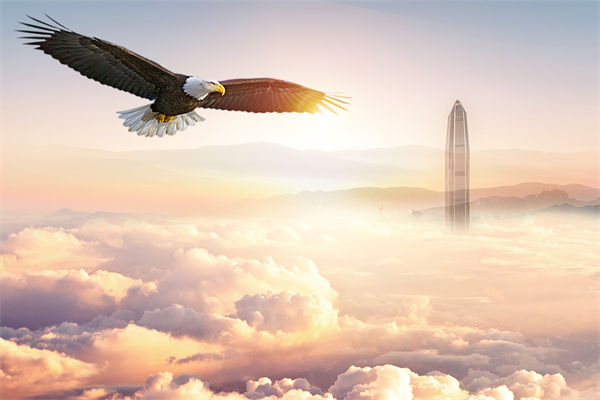 企業(yè)文化與企業(yè)管理如何協(xié)同，推動企業(yè)持續(xù)發(fā)展？