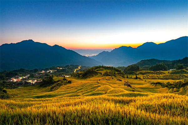 麗水組織規(guī)劃咨詢公司如何為企業(yè)構建高效組織架構？