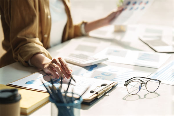 在預(yù)算執(zhí)行中，如何確保監(jiān)控與調(diào)整機制的有效性？