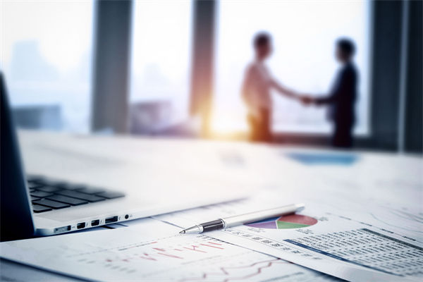 在預(yù)算執(zhí)行中，如何確保監(jiān)控與調(diào)整機(jī)制的有效性？