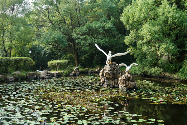 株洲預(yù)算管理咨詢公司如何為企業(yè)打造精準(zhǔn)預(yù)算管理體系？