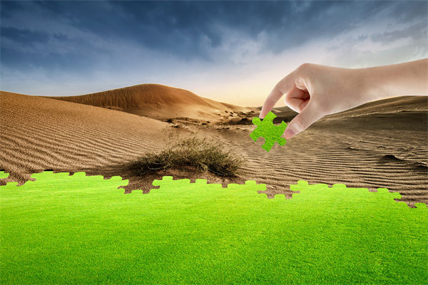 企業(yè)深陷困境，管理咨詢?nèi)绾我岳做侄未蚱瓢l(fā)展僵局？