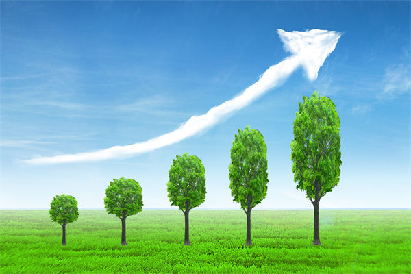 植樹(shù)就是植未來(lái)，對(duì)企業(yè)的戰(zhàn)略規(guī)劃有哪些啟示？