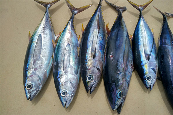 商務部：將幫助外貿(mào)企業(yè)擴寬內(nèi)銷渠道，政策解讀！