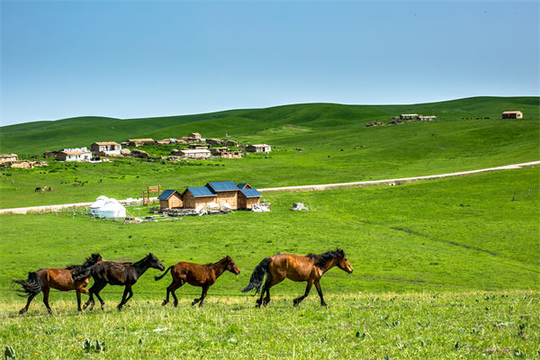 飛新疆的機票價格漲爆了，什么情況？是營銷炒作？