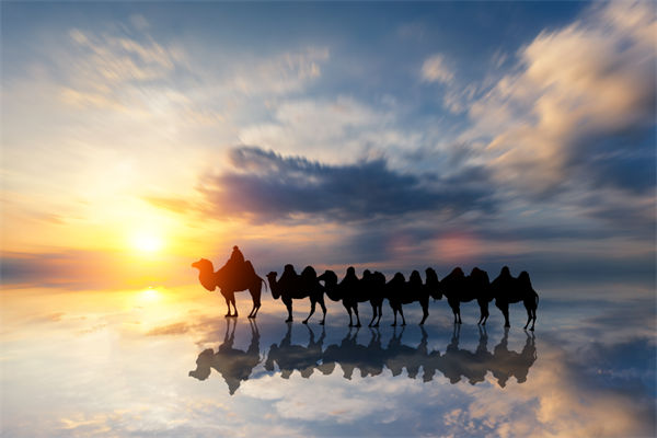 戰(zhàn)略與文化脫節(jié)，企業(yè)理念如何落地支撐發(fā)展？