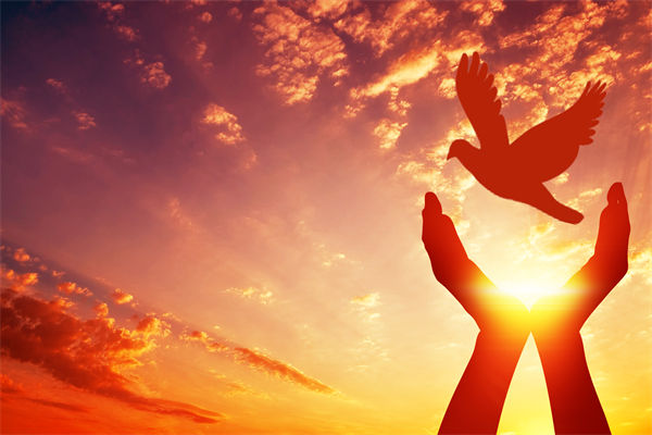 別讓盲卡盲盒“收割”孩子，關聯企業(yè)戰(zhàn)略怎么看？