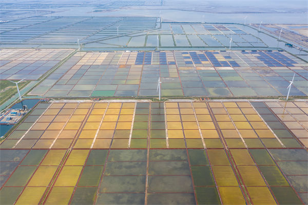 濰坊集團(tuán)子公司失控內(nèi)耗嚴(yán)重，濰坊集團(tuán)管控咨詢公司如何重構(gòu)權(quán)責(zé)體系？