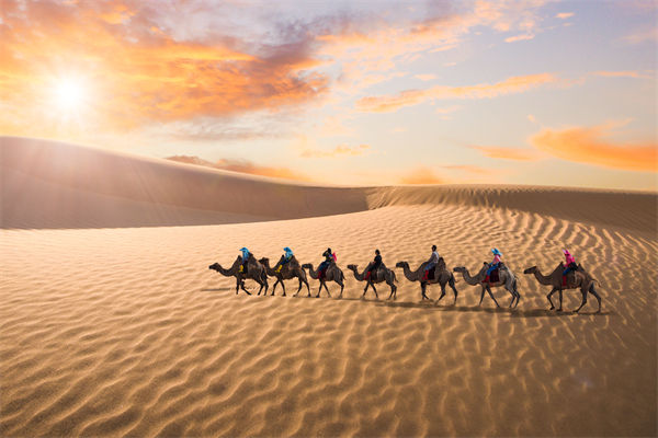 企業(yè)文化管理失效？這三大認(rèn)知誤區(qū)為何拖垮團(tuán)隊(duì)？