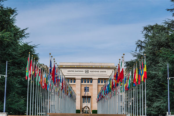 英法等25國發(fā)表聯(lián)合聲明，企業(yè)組織規(guī)劃有何啟示？