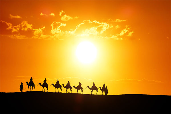 高層標(biāo)榜的企業(yè)文化，如何穿透形式真正落地生根？