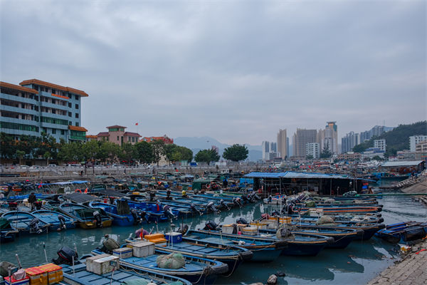 精益生產(chǎn)分析：開海第一網(wǎng)撈8000斤，船長合不攏嘴