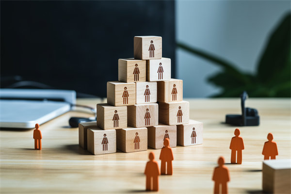 人力資源咨詢公司哪家好，適配企業(yè)戰(zhàn)略搭人才梯隊(duì)的