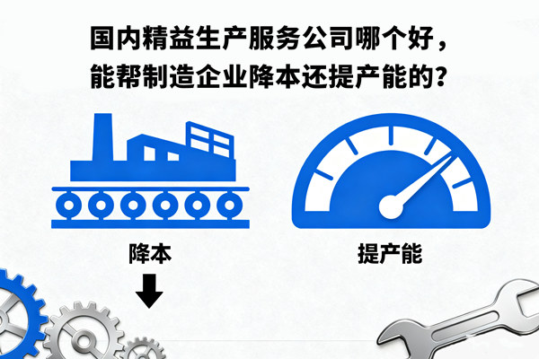 國(guó)內(nèi)精益生產(chǎn)服務(wù)公司哪個(gè)好，能幫制造企業(yè)降本還提產(chǎn)能的？