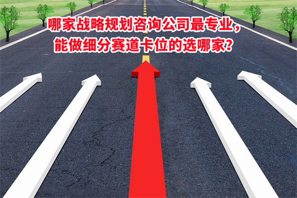 哪家戰(zhàn)略規(guī)劃咨詢公司最專業(yè)，能做細(xì)分賽道卡位的選哪家？