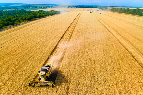 農(nóng)業(yè)行業(yè)供應(yīng)鏈管理咨詢公司推薦，能解農(nóng)資采購成本高問題嗎？