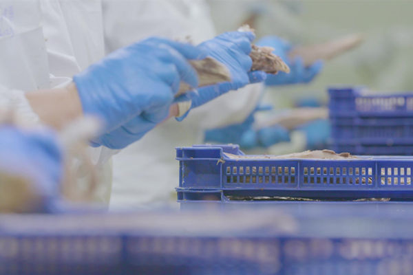 本土駐廠精益生產咨詢哪家強，能快速提升產線流轉效率么？