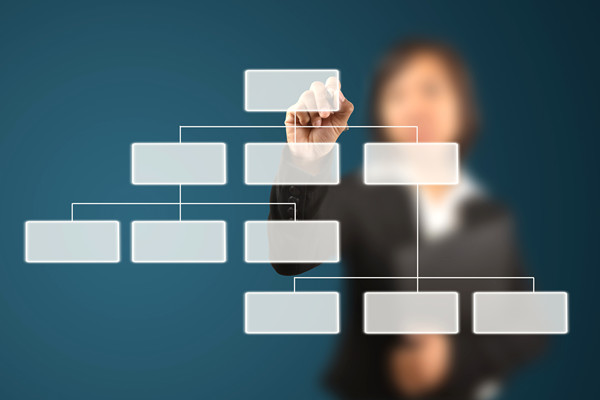 哪家組織規(guī)劃咨詢公司落地最好，能搭建適配發(fā)展的組織體系？